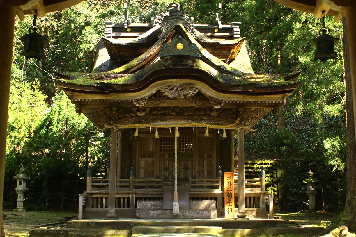 複雑な屋根を持つ神社の正面からの写真